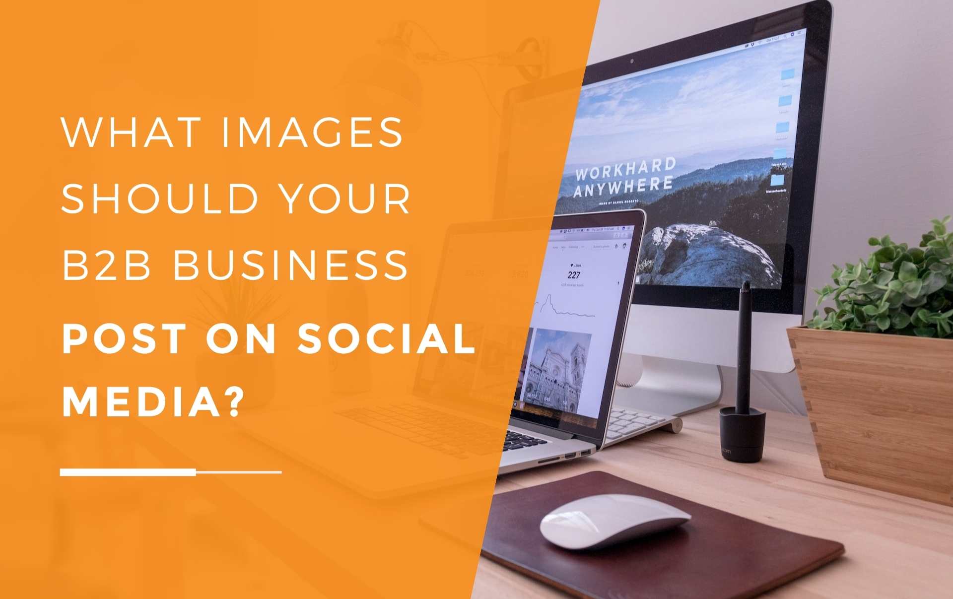 What Images Should Your B2B Business Post On Social Media?